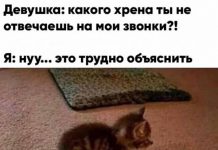 Чуток картинок # 20.06.2020