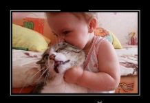 Чуток картинок # 23.06.2020