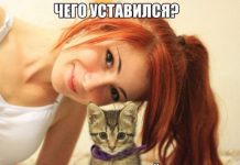 Так себе картинки # 24.06.2020