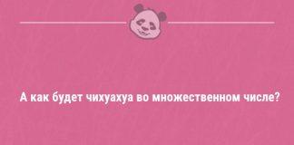 Пятнично-праздничные анекдоты — 12.06.2020