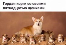 Так себе картинки # 08.06.2020