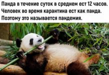 Немного картинок с надписями для настроения # 06.06.2020