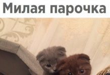 Так себе картинки # 15.06.2020