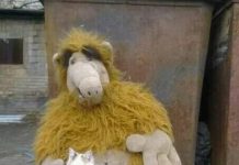 Чуток картинок # 13.07.2020