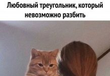 Чуток картинок # 11.07.2020