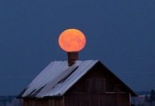 Так себе картинки # 05.07.2020