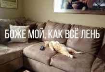 Чуток картинок # 05.07.2020