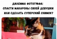 Немного картинок для настроения # 18.07.2020