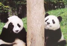 Позитивные картинки # 27.07.2020