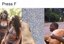 Нестандартный юмор :) # 22.07.2020