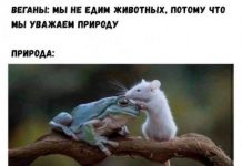 Немного картинок для настроения # 11.07.2020