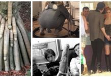 20 невинных картинок в доказательство того, что интернет нас испортил # 26.07.2020