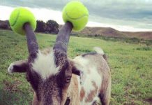 Так себе картинки # 20.07.2020