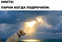 Нестандартный юмор :) # 27.07.2020