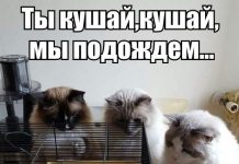 Чуток картинок # 06.07.2020