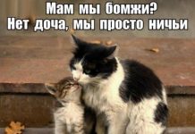 Чуток картинок # 15.08.2020