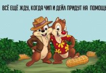 Дурацкие картинки # 17.08.2020