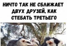 Немного картинок для настроения # 26.08.2020