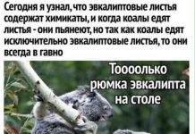 Немного картинок для настроения # 22.08.2020