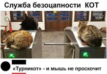 Немного картинок для настроения # 27.08.2020