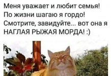 Немного картинок для настроения # 30.08.2020