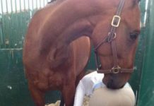 Немного слегка пошлых картинок с надписями и без # 03.08.2020