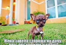 Чуток картинок # 19.08.2020