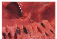 Нестандартный юмор :) # 08.08.2020