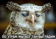 Чуток картинок # 20.08.2020