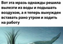 Немного картинок для настроения # 24.08.2020