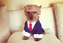 Всякие картинки и буквы # 29.08.2020