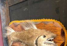 Немного картинок для настроения # 01.08.2020