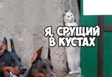 Нестандартный юмор :) # 03.09.2020