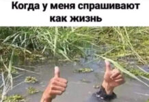 Немного картинок для настроения # 01.10.2020