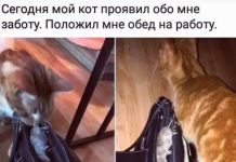 Немного картинок для настроения # 07.09.2020