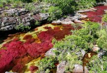 Цветопредставление в Каньо Кристалес