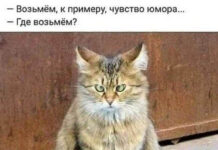 Немного картинок с текстом и без # 01.10.2020