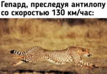 Нестандартный юмор :) # 10.09.2020