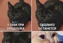 Немного картинок для настроения # 07.09.2020