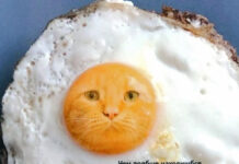 Нестандартный юмор :) # 20.10.2020