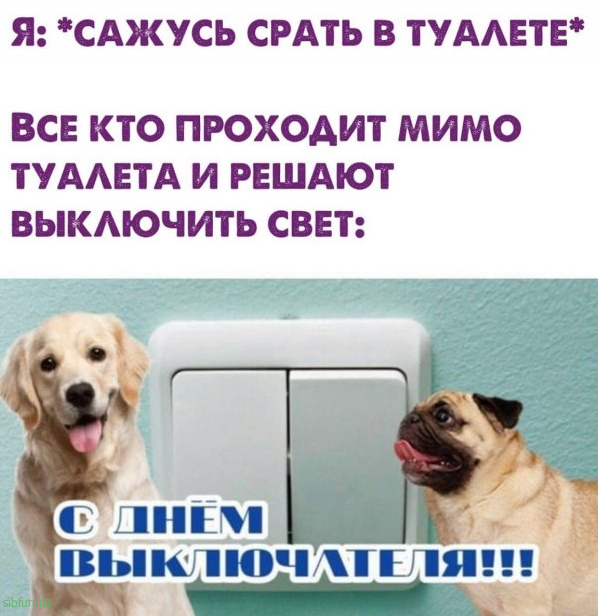 Нестандартный юмор :)