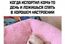 Немного картинок для настроения # 23.10.2020