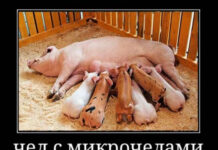 Нестандартный юмор :) # 09.10.2020