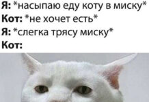 Нестандартный юмор :) # 26.10.2020