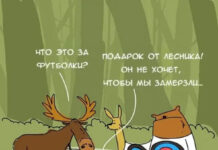 Немного картинок для настроения # 15.10.2020