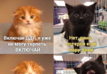 Фотки и картинки # 17.10.2020