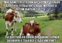 Юмор в картинках # 11.10.2020