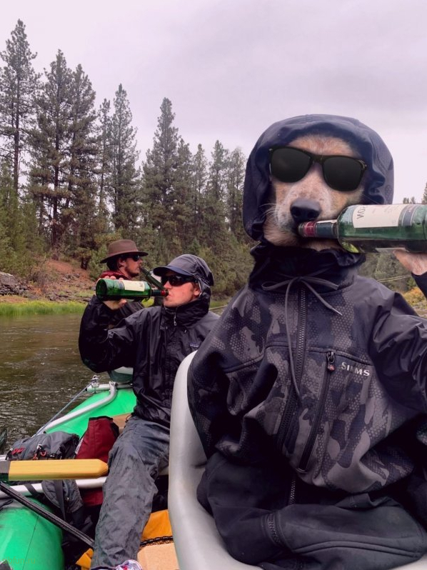 Фотография с собакой в куртке и пьющими рыбаками, вдохновила пользователей на новый фотошоп-баттл