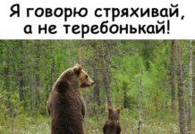 Фотки и картинки # 03.10.2020