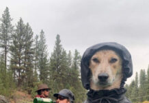 Фотография с собакой в куртке и пьющими рыбаками, вдохновила пользователей на новый фотошоп-баттл # 20.10.2020